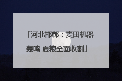 河北邯郸：麦田机器轰鸣 夏粮全面收割