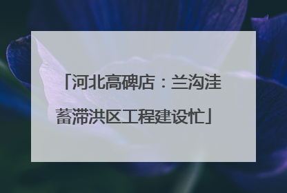 河北高碑店：兰沟洼蓄滞洪区工程建设忙