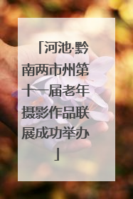 河池·黔南两市州第十一届老年摄影作品联展成功举办