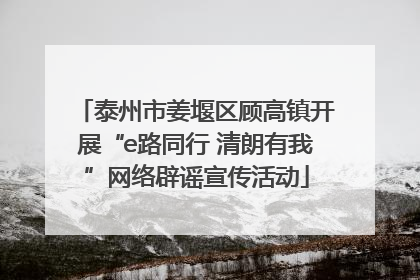 泰州市姜堰区顾高镇开展“e路同行 清朗有我”网络辟谣宣传活动