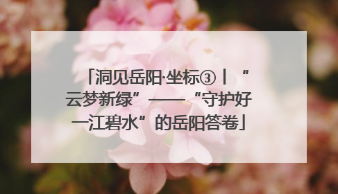 洞见岳阳·坐标③丨“云梦新绿”——“守护好一江碧水”的岳阳答卷