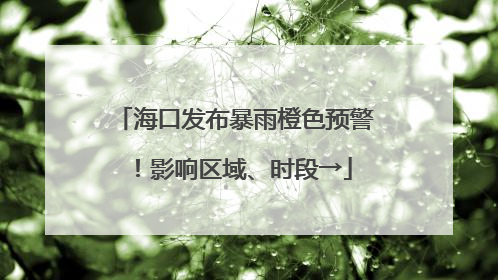 海口发布暴雨橙色预警！影响区域、时段→