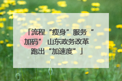 流程“瘦身”服务“加码” 山东政务改革跑出“加速度”