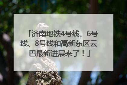 济南地铁4号线、6号线、8号线和高新东区云巴最新进展来了！