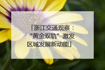 浙江交通观察：“黄金双轨”激发区域发展新动能