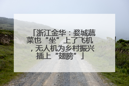 浙江金华：婺城蔬菜也“坐”上了飞机，无人机为乡村振兴插上“翅膀”