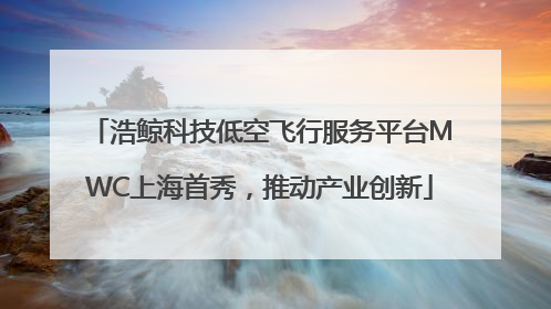 浩鲸科技低空飞行服务平台MWC上海首秀，推动产业创新