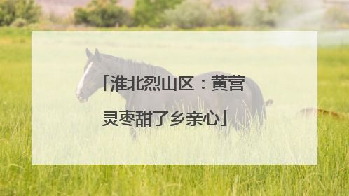 淮北烈山区：黄营灵枣甜了乡亲心