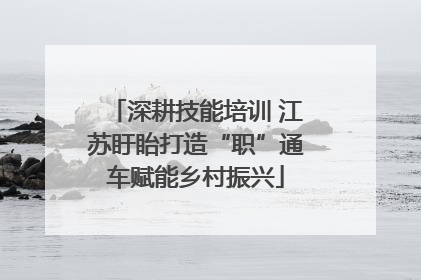 深耕技能培训 江苏盱眙打造“职”通车赋能乡村振兴