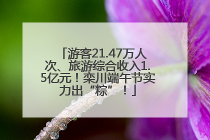 游客21.47万人次、旅游综合收入1.5亿元！栾川端午节实力出“粽”！