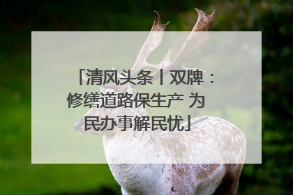清风头条丨双牌：修缮道路保生产 为民办事解民忧