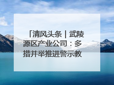 清风头条｜武陵源区产业公司：多措并举推进警示教育走深走实