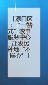 渌口区：“一站式”农事服务中心 让农民种地“不操心”