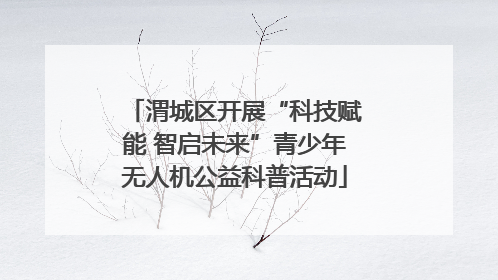 渭城区开展“科技赋能 智启未来”青少年无人机公益科普活动