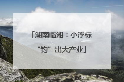 湖南临湘：小浮标“钓”出大产业