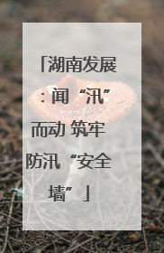 湖南发展：闻“汛”而动 筑牢防汛“安全墙”