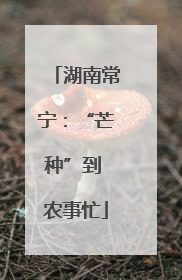 湖南常宁：“芒种”到 农事忙