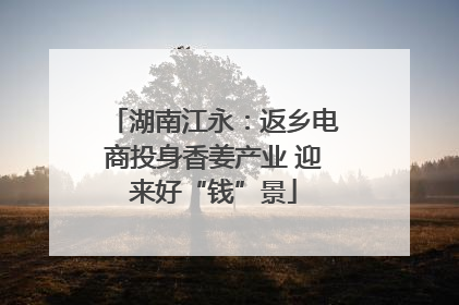 湖南江永：返乡电商投身香姜产业 迎来好“钱”景