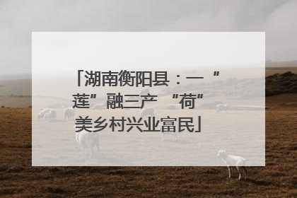 湖南衡阳县：一“莲”融三产 “荷”美乡村兴业富民