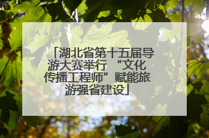 湖北省第十五届导游大赛举行 “文化传播工程师”赋能旅游强省建设