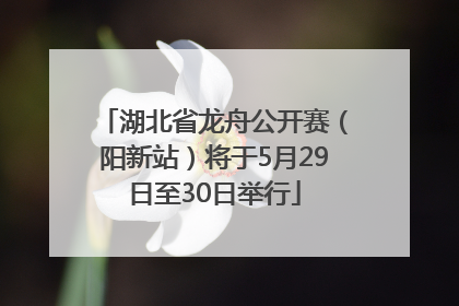 湖北省龙舟公开赛（阳新站）将于5月29日至30日举行