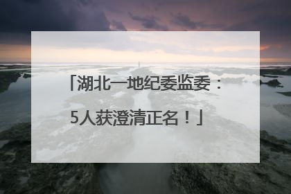 湖北一地纪委监委：5人获澄清正名！