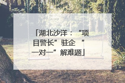 湖北沙洋：“项目警长”驻企 “一对一”解难题