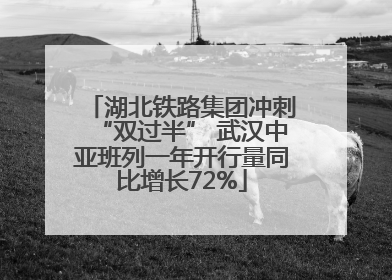 湖北铁路集团冲刺“双过半” 武汉中亚班列一年开行量同比增长72%