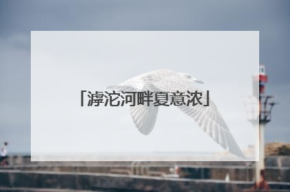 滹沱河畔夏意浓