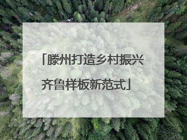 滕州打造乡村振兴齐鲁样板新范式
