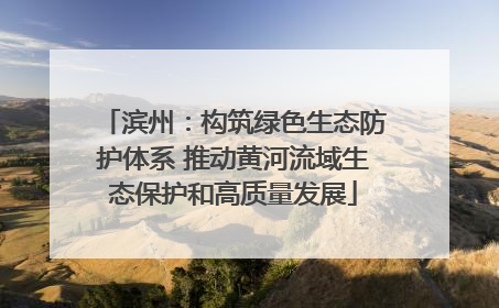 滨州：构筑绿色生态防护体系 推动黄河流域生态保护和高质量发展