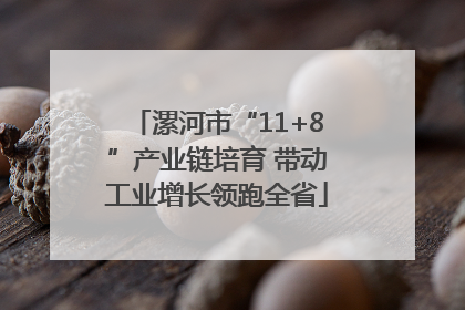 漯河市“11+8”产业链培育 带动工业增长领跑全省