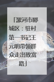 漯河市郾城区：驻村第一书记王元明带领群众走出致富路
