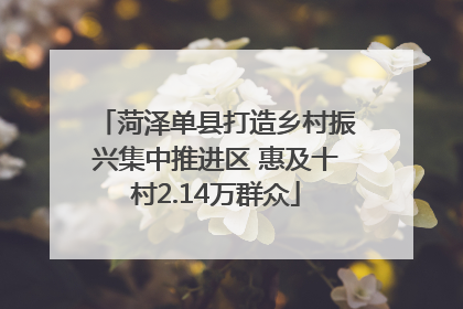 菏泽单县打造乡村振兴集中推进区 惠及十村2.14万群众
