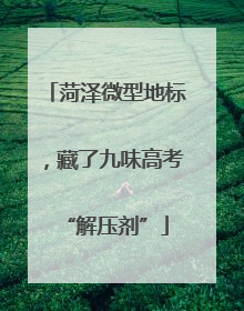 菏泽微型地标，藏了九味高考“解压剂”