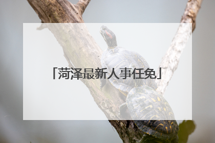 菏泽最新人事任免