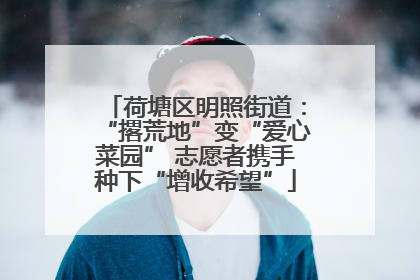荷塘区明照街道：“撂荒地”变“爱心菜园” 志愿者携手种下“增收希望”