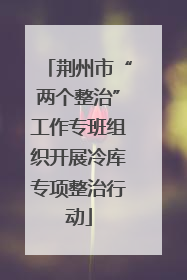 荆州市“两个整治”工作专班组织开展冷库专项整治行动