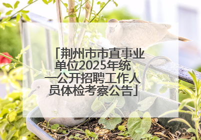 荆州市市直事业单位2025年统一公开招聘工作人员体检考察公告