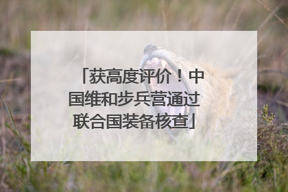 获高度评价！中国维和步兵营通过联合国装备核查