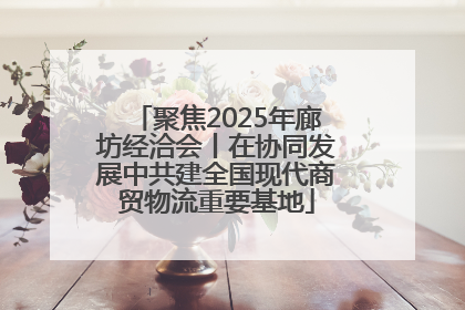 聚焦2025年廊坊经洽会丨在协同发展中共建全国现代商贸物流重要基地