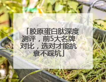 胶原蛋白肽深度测评，前5大名牌对比，选对才能抗衰不踩坑