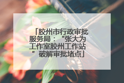 胶州市行政审批服务局：“张大为工作室胶州工作站”破解审批堵点