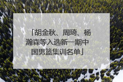 胡金秋、周琦、杨瀚森等入选新一期中国男篮集训名单