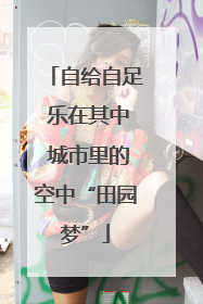 自给自足 乐在其中 城市里的空中“田园梦”