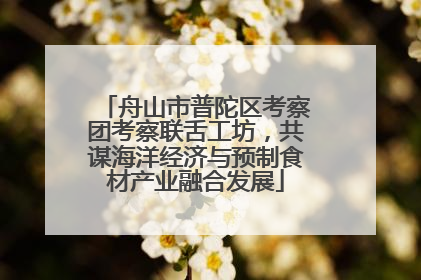 舟山市普陀区考察团考察联舌工坊，共谋海洋经济与预制食材产业融合发展