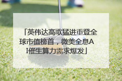 英伟达高歌猛进重登全球市值榜首，微美全息AI催生算力需求爆发