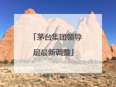 茅台集团领导层最新调整