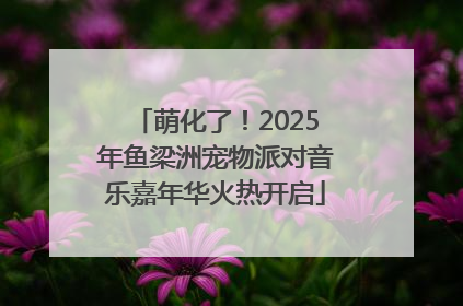 萌化了！2025年鱼梁洲宠物派对音乐嘉年华火热开启