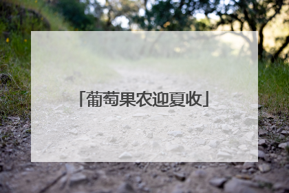 葡萄果农迎夏收